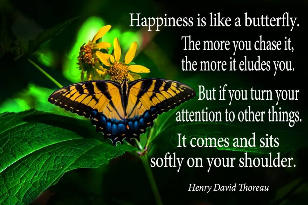 happiness-is-like-a-butterfly