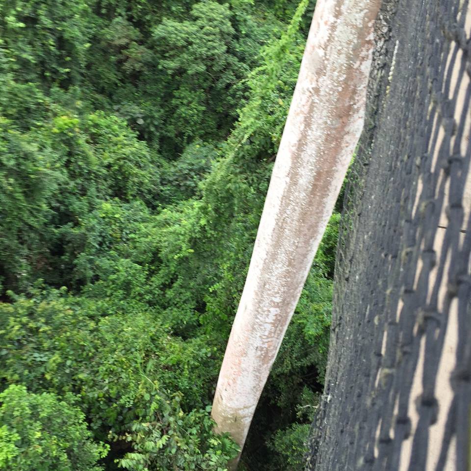 Kakum National Park Cape Coast african celebs