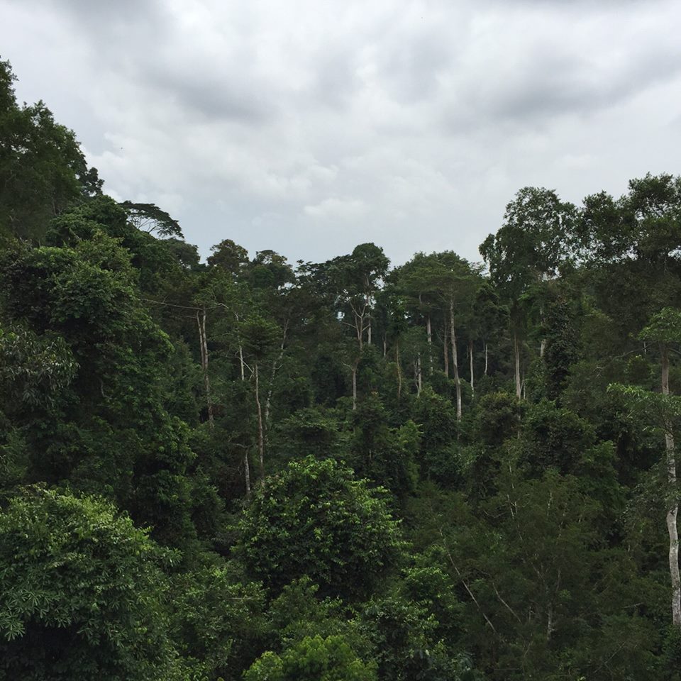 Kakum National Park Cape Coast1 african celebs