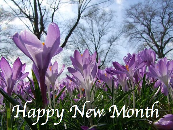 Happy new month everyone! February 2017 This year will be a most fruitful year for you! -AFRICAN CELEBS