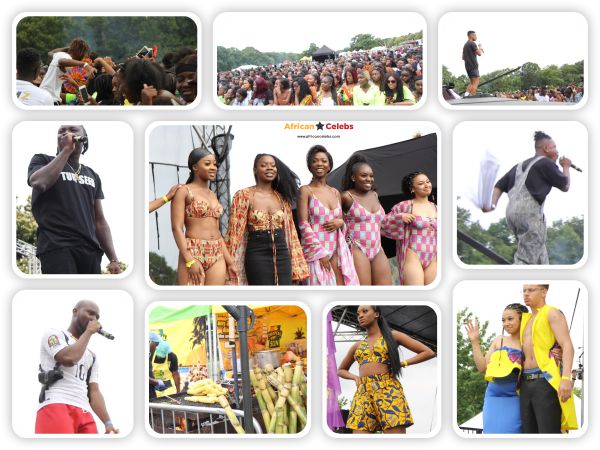 Ghana party in the park 2019 - African Celebrities