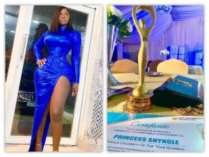 Princess Shyngle Waist