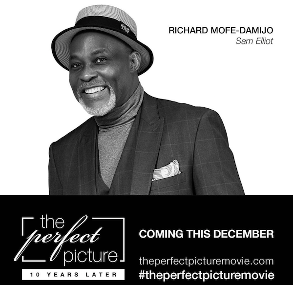 The Perfect Picture Returns 